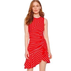 NWT Parker Lucia Striped Dress